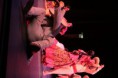 /album/ballet-atoyanalco-en-guadalajara-jalisco/img-0263-jpg/